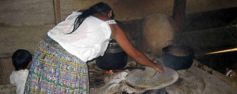 the ecological stoves reduce the consumption of wood by half